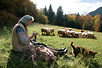 The Weaver and the Flock (Photo: Milan Janković)